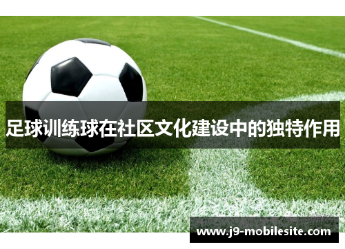 足球训练球在社区文化建设中的独特作用